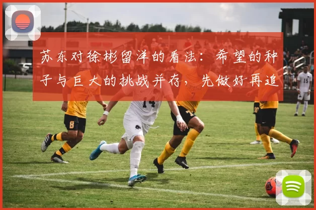苏东对徐彬留洋的看法：希望的种子与巨大的挑战并存，先做好再追求完美